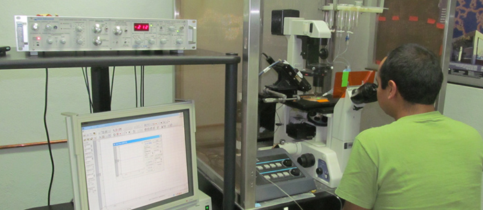 lab arreola
