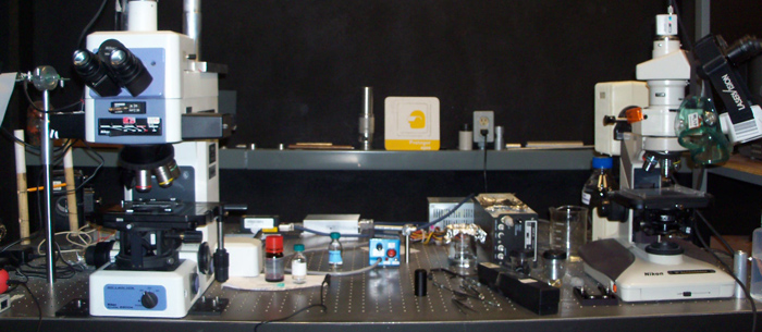 lab jriuz